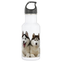 Heisere Hunde
