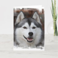 Heisere Hundegruß-Karte