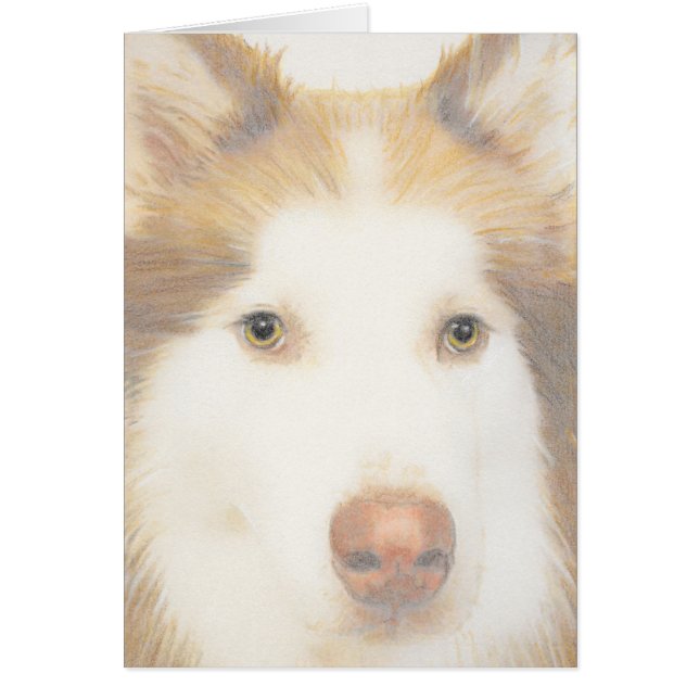 Heisere Malamutekarte, Schlittenhund (Vorne)
