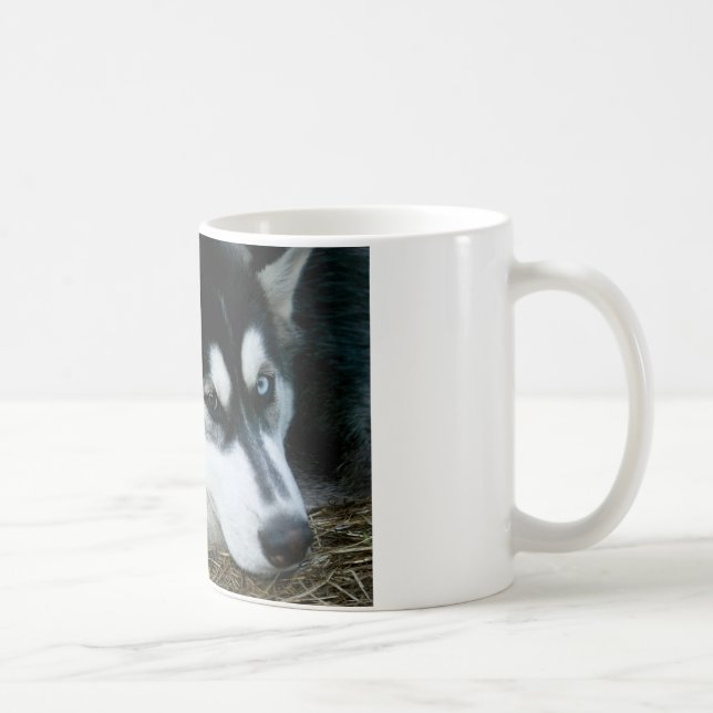 Heiserer Hund Kaffeetasse (Rechts)