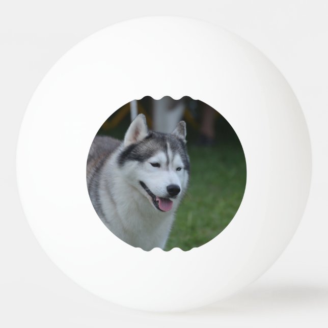 Heiserer Hund Tischtennisball (Vorderseite)