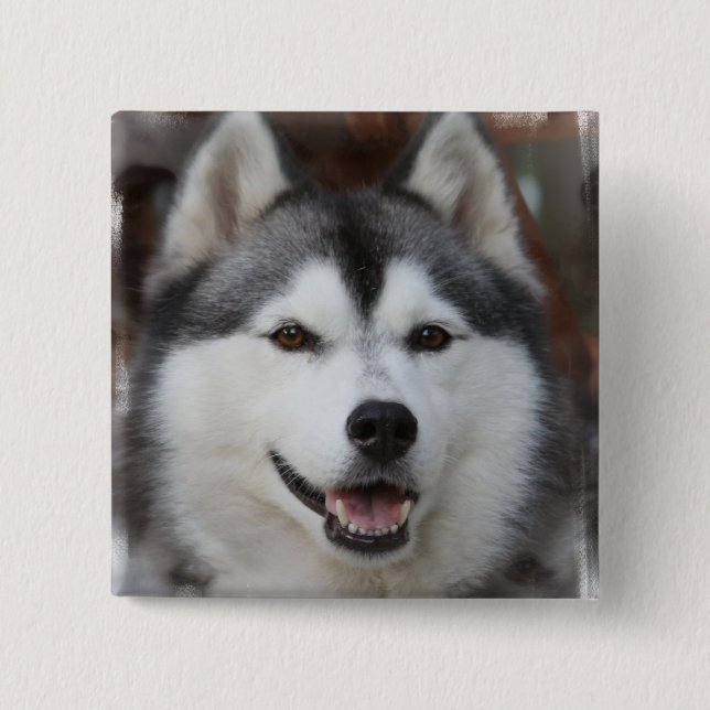 Heiserer Hundequadrat-Knopf Button (Vorderseite)