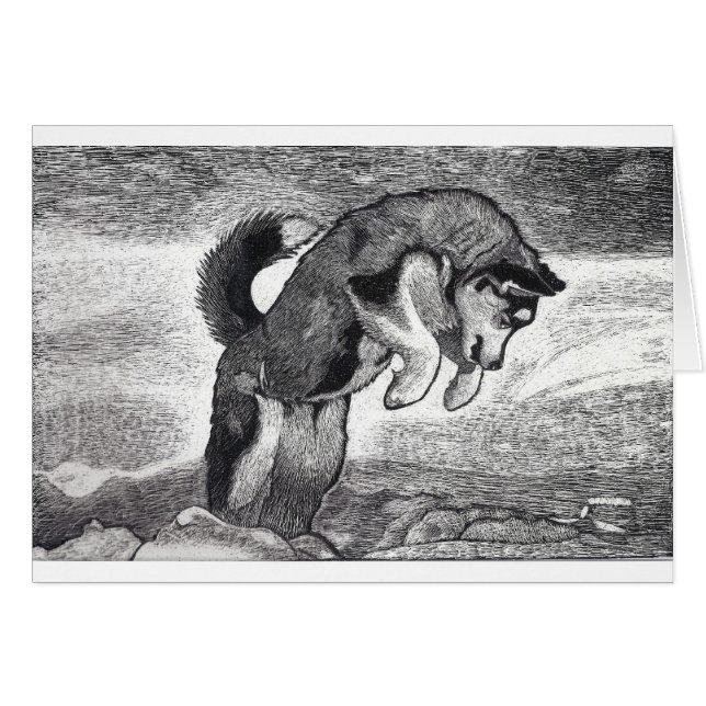 Heiserer Welpe (Vorderseite (Horizontal))