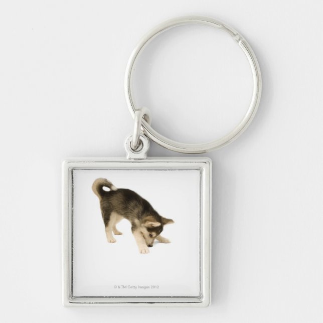 Heiserer Welpe 2 Schlüsselanhänger (Vorne)