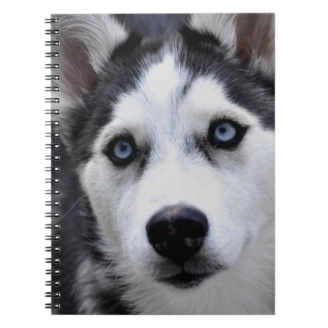 Heiseres Welpen-Notizbuch Notizblock (Vorderseite)