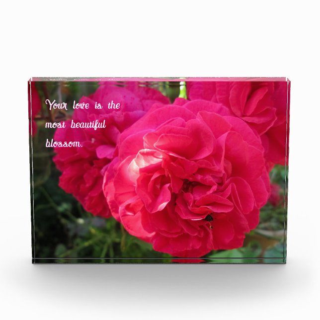 Heiß rosa Rose - Personalisierter Muttertag Fotoblock (Vorderseite)