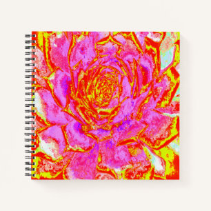 Heiß rosa, rot und gelb Sukkulat-Rosette Notizbuch