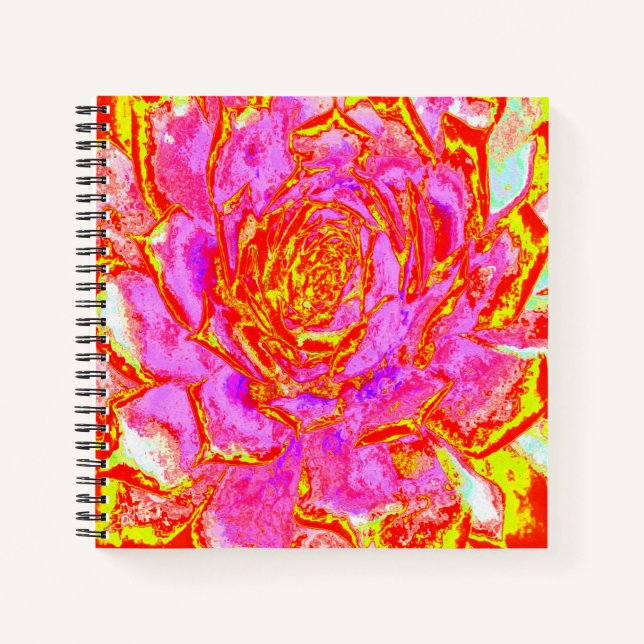 Heiß rosa, rot und gelb Sukkulat-Rosette Notizbuch (Vorderseite)
