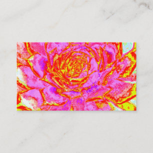 Heiß rosa, rot und gelb Sukkulat-Rosette Visitenkarte