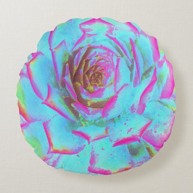 Heiß rosa und blau-sukkulente Sedum-Rosette Rundes Kissen (Vorderseite)