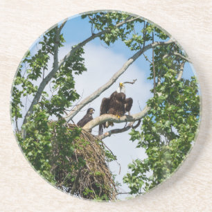 Heiße Adler Getränkeuntersetzer
