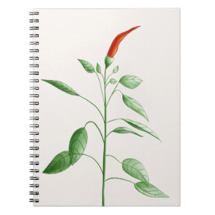 Heiße Chili-Pfeffer-Pflanzen-botanische Notizblock