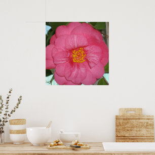 Heiße rosa Kamelie, die auf einem Baum wächst, Poster
