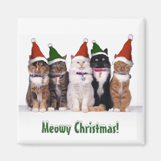"Heiße Weihnachten!" Katzen bei Hunden Magnet (Vorne)