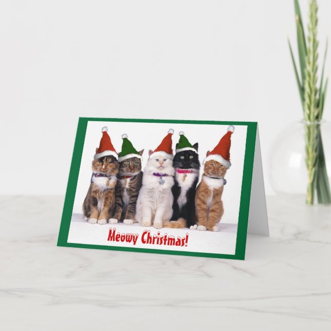 "Heiße Weihnachten!" Katzen Feiertagskarte (Vorderseite)