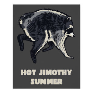 Heißer Jimothy Sommer Lustiger Waschbär Meme Tier Poster
