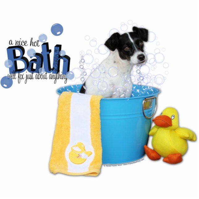 Heißes Bad - Ratte Terrier - Rosco Freistehende Fotoskulptur (Vorne)