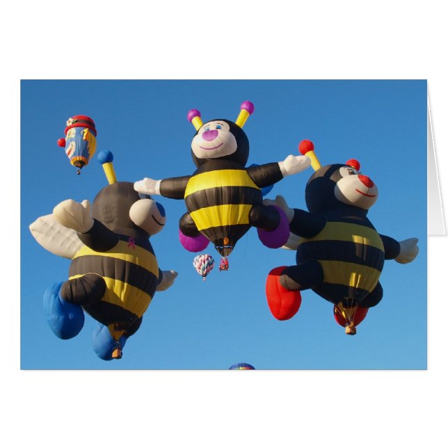 Heißluft-Ballon - im Ballon aufsteigend (Vorderseite (Horizontal))