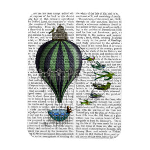 Heißluft-Ballon und Vögel Magnet