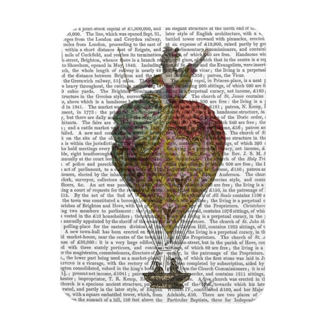 Heißluftballon Frau 3 Magnet (Vertikal)