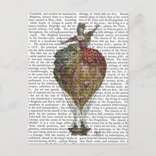 Heißluftballon Frau 3 Postkarte (Vorderseite)