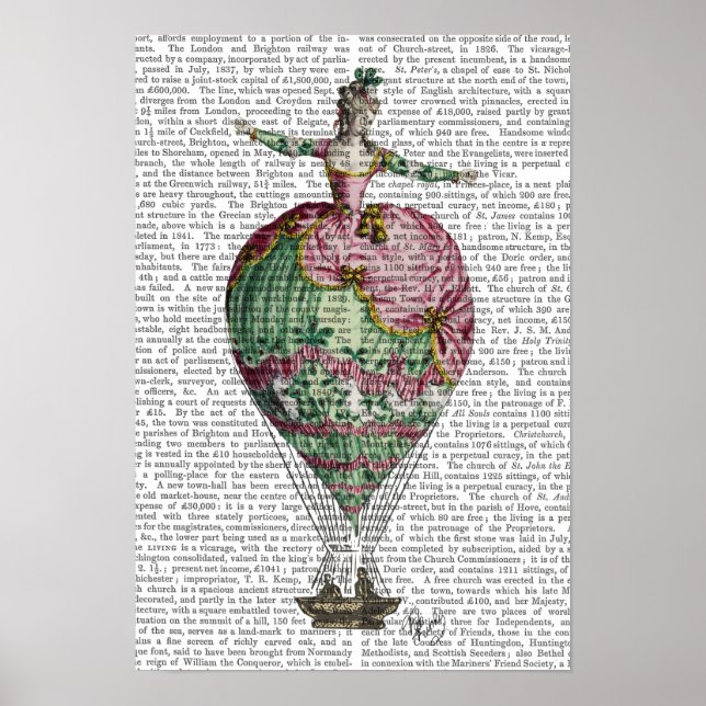 Heißluftballon-Frau Poster (Vorne)