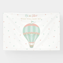 Heißluftballon Geschlecht offenbaren Hintergrund Banner