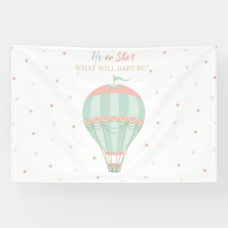 Heißluftballon Geschlecht offenbaren Hintergrund Banner