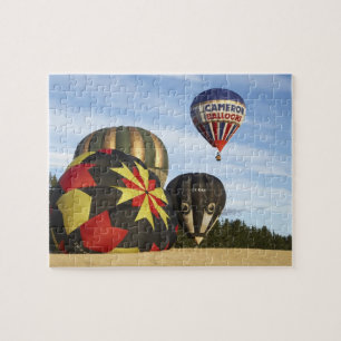 Heißluftballons in der Nähe von Wanaka, Südinse