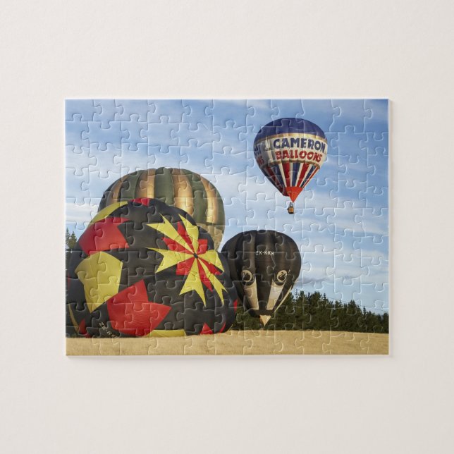 Heißluftballons in der Nähe von Wanaka, Südinsel,  (Horizontal)