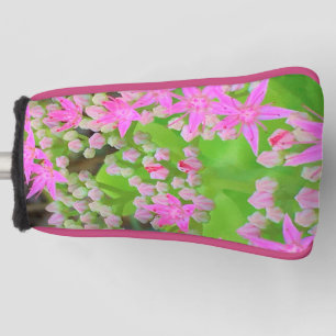 Heißrosa Sukkulente Sedum mit fleischigen grünen B Golf Headcover