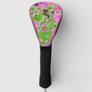 Heissrosa Sukkulentes Sedum mit fleshy-grünen Blät Golf Headcover