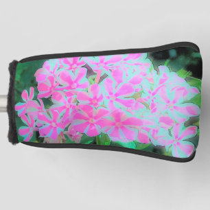 Heißrosa und Weiß Peppermint Twist Garten-Phlox Golf Headcover
