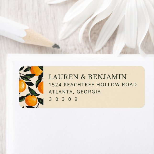 Heiteres Beige-Citrus-Orangen (Insitu)
