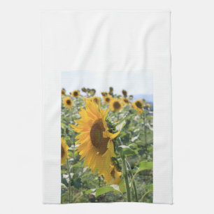 Heitre italienische Sonnenblume Geschirrtuch