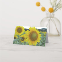 Heitre Sonnenblume gefaltete Mitteilungskarten