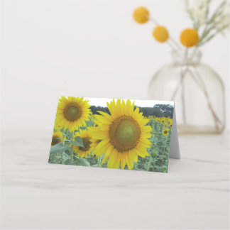 Heitre Sonnenblume gefaltete Mitteilungskarten