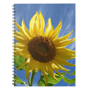 Heitre Sonnenblume Notizblock