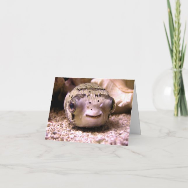 Helaines BlowfishPufferfish Karte (Vorderseite)