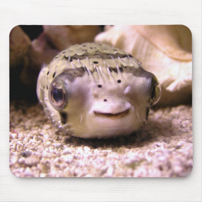 Helaines BlowfishPufferfish Mousepad (Vorne)