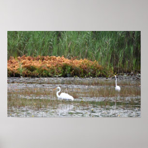 Helden im Marsh Poster