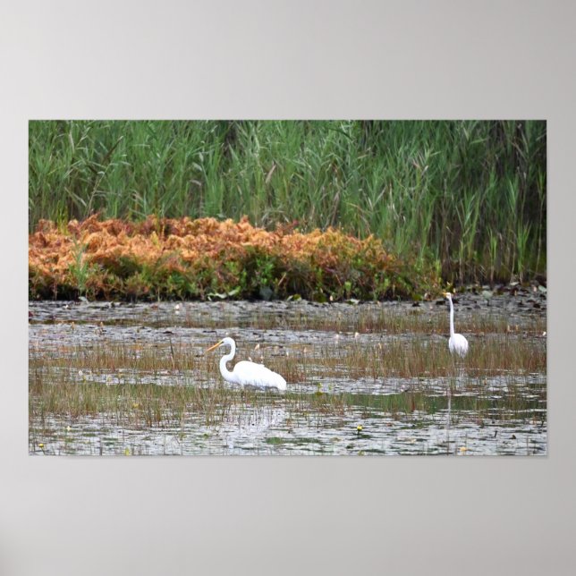 Helden im Marsh Poster (Vorne)