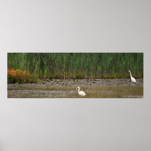 Helden im Marsh Poster