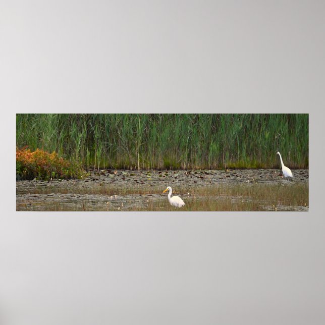 Helden im Marsh Poster (Vorne)