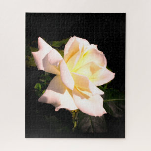 Helen Anne Lisher Rose