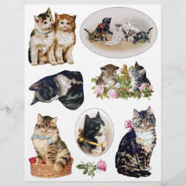 Helena Maguire - Vintage-Katze und Kätzchen Fussy