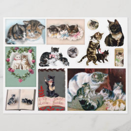 Helena Maguire Vintage Katzen Kunst Ephemera Fussy