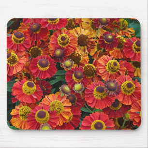 Helenium-Blume in Rot und Orange Mousepad