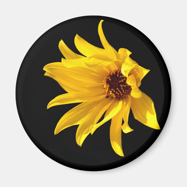 Helenium Magnet (Vorne)