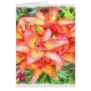 Helens Coral Colored Lilies Watercolor